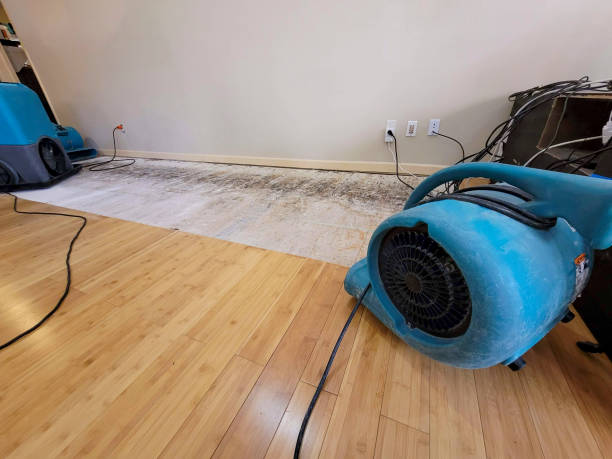 Professional Water Extraction technician working in Edison, NJ